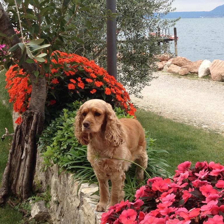 Locanda Fassa Brenzone sul Garda Εξωτερικό φωτογραφία